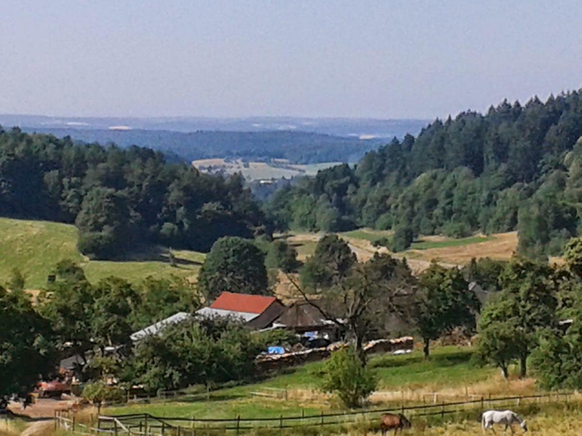 FeWo Darsberg Neckarsteinach Exterior foto